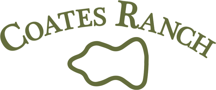 Coates Ranch - Hereford Cattle & Horses For Sale